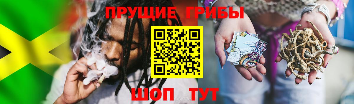 Псилоцибиновые грибы Psilocybe  Вход с VPN  Златоуст 